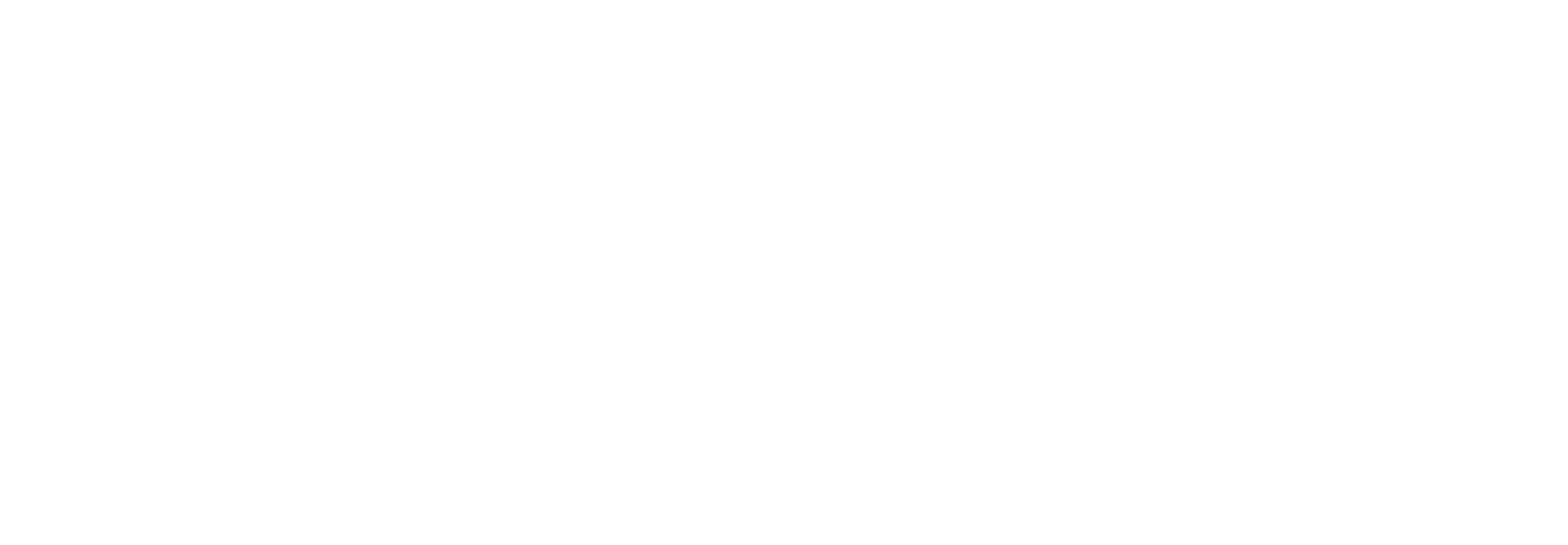 Best Partner Solution